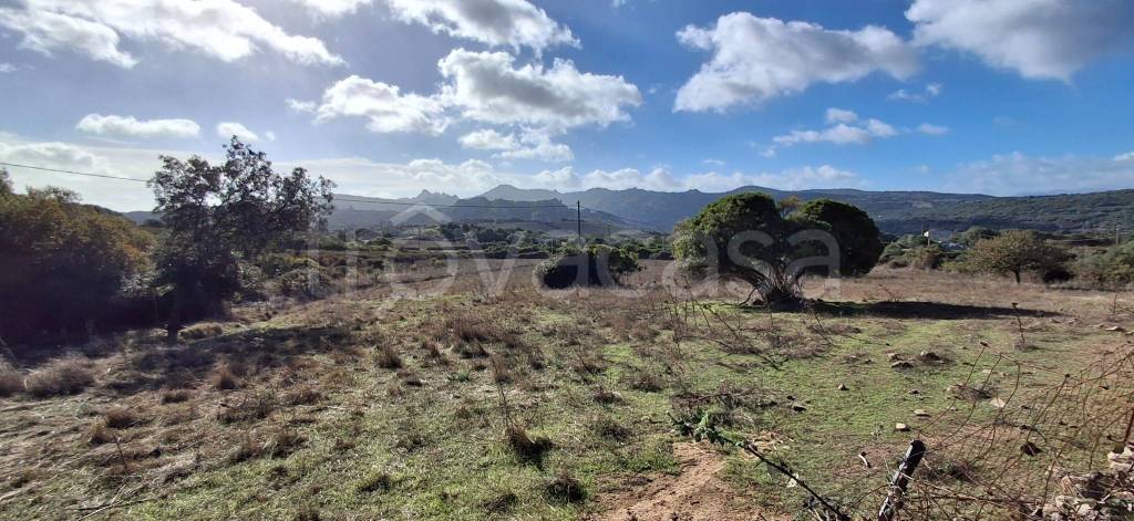 terreno agricolo in vendita ad Olbia