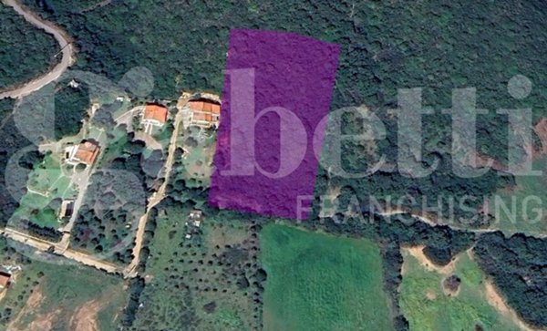 terreno agricolo in vendita ad Olbia in zona Santa Lucia