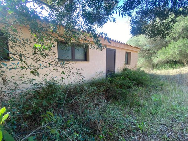 terreno agricolo in vendita ad Olbia in zona Santa Mariedda