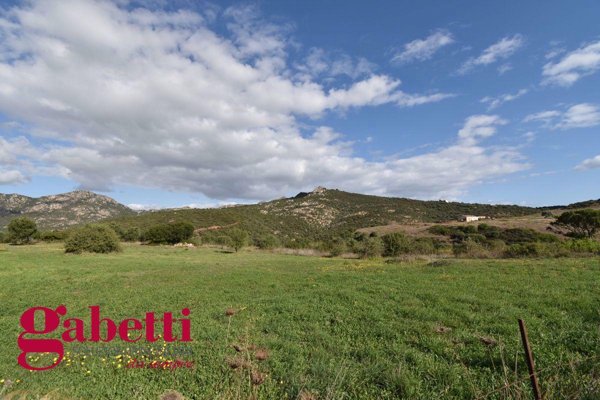 terreno agricolo in vendita ad Olbia in zona Pittulongu