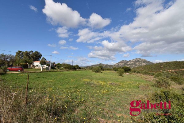 terreno agricolo in vendita ad Olbia in zona Pittulongu