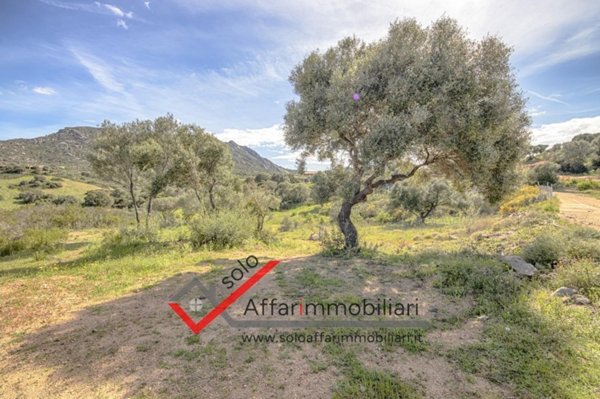 terreno agricolo in vendita ad Olbia in zona Rudalza
