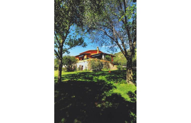 casa indipendente in vendita ad Olbia