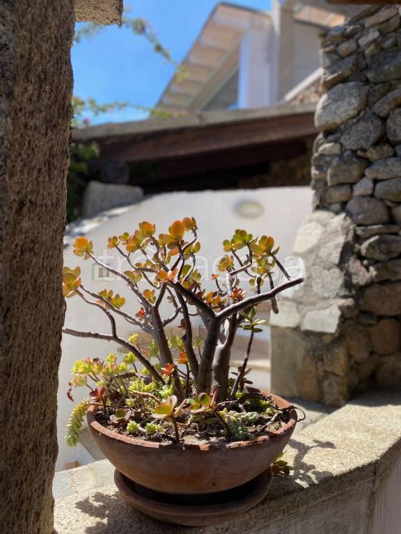 appartamento in vendita ad Olbia