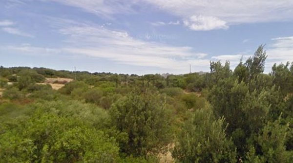 terreno agricolo in vendita ad Olbia