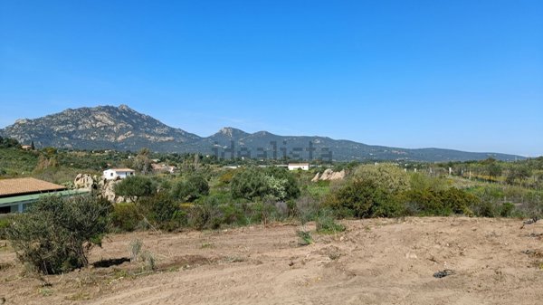 terreno agricolo in vendita ad Olbia in zona Cugnana