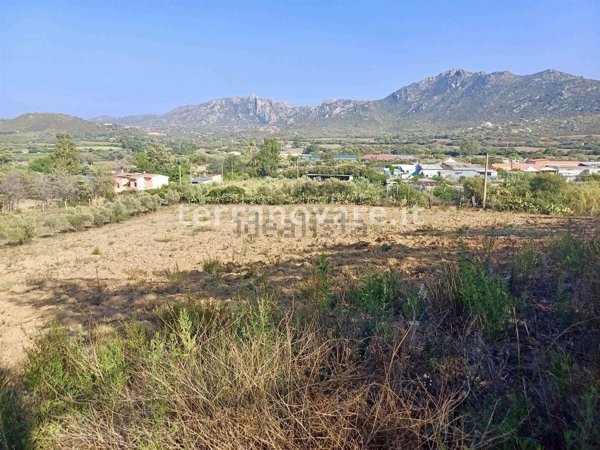 terreno agricolo in vendita ad Olbia in zona Cugnana