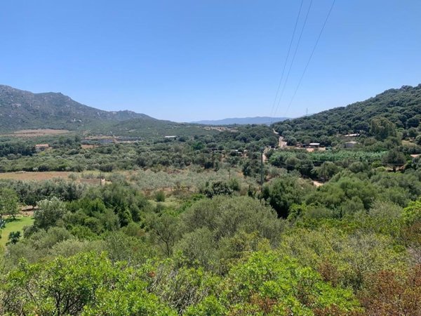 terreno agricolo in vendita ad Olbia in zona Santa Lucia