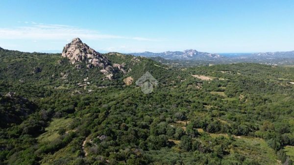 terreno agricolo in vendita ad Olbia