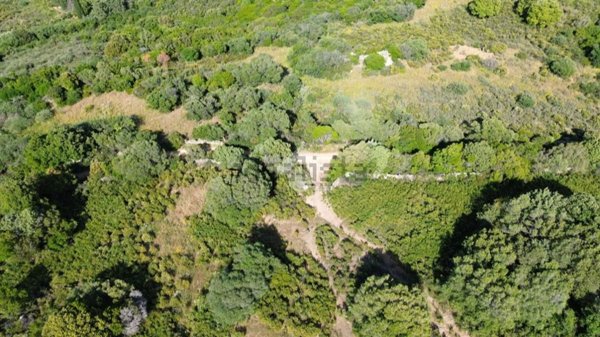 terreno agricolo in vendita ad Olbia