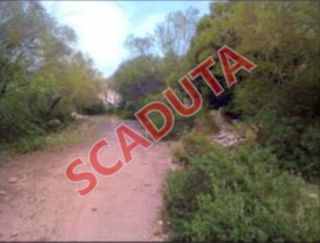 terreno agricolo in vendita ad Olbia in zona San Pantaleo