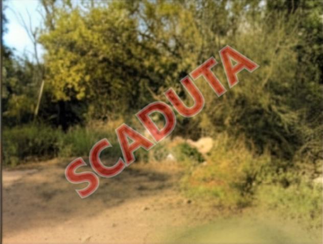 terreno agricolo in vendita ad Olbia in zona San Pantaleo