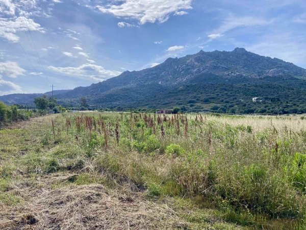 terreno agricolo in vendita ad Olbia in zona Cugnana