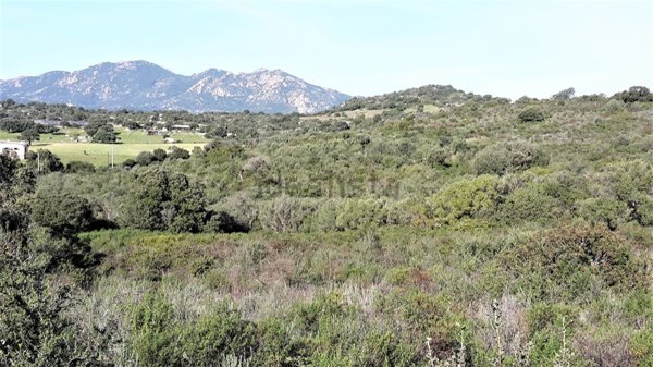terreno agricolo in vendita ad Olbia in zona Santa Mariedda