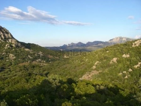 terreno agricolo in vendita ad Olbia