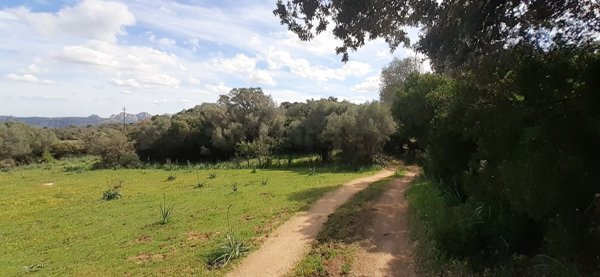 terreno agricolo in vendita ad Olbia
