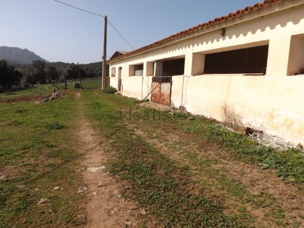 terreno agricolo in vendita ad Olbia in zona Santa Mariedda