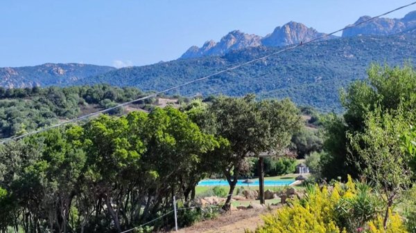 casa indipendente in vendita ad Olbia