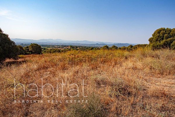 terreno agricolo in vendita ad Olbia in zona Santa Mariedda