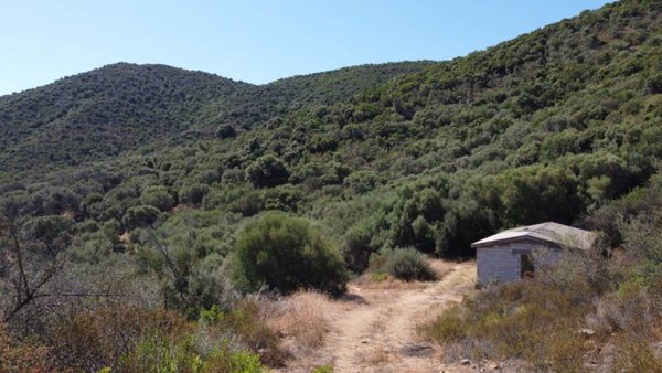 casa indipendente in vendita ad Olbia in zona Murta Maria