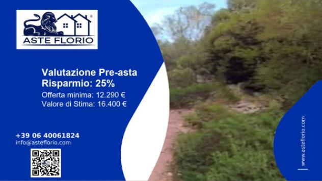 terreno agricolo in vendita ad Olbia in zona San Pantaleo