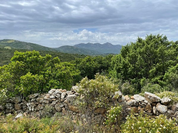 terreno agricolo in vendita ad Olbia in zona Sole Ruiu