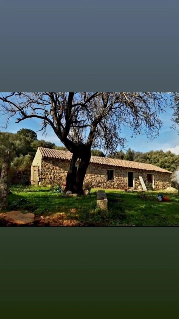 appartamento in vendita ad Olbia