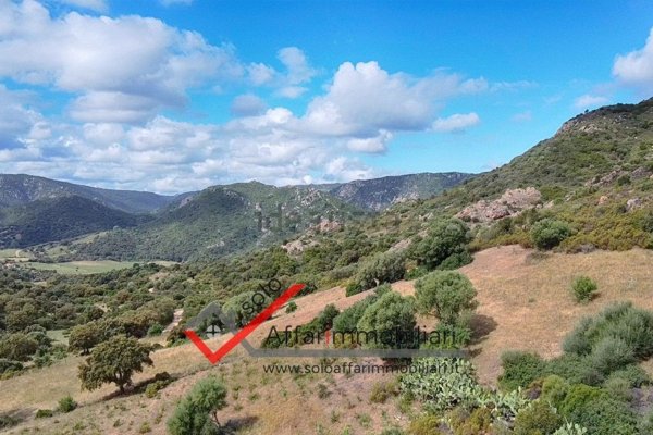 terreno agricolo in vendita ad Olbia in zona Berchiddeddu