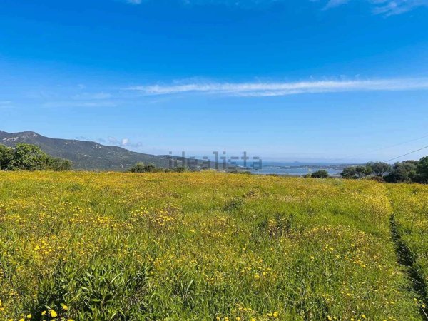 casa indipendente in vendita ad Olbia in zona Santa Lucia