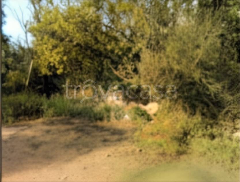 terreno agricolo in vendita ad Olbia in zona San Pantaleo