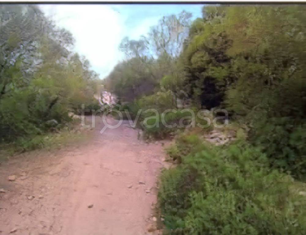terreno agricolo in vendita ad Olbia in zona San Pantaleo