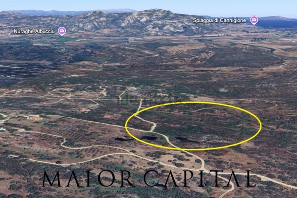 terreno agricolo in vendita ad Olbia in zona San Pantaleo