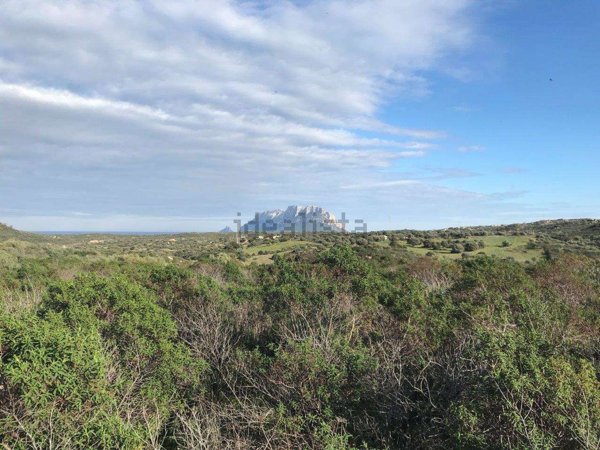 terreno agricolo in vendita ad Olbia in zona Murta Maria