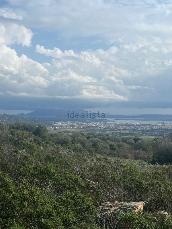 terreno agricolo in vendita ad Olbia in zona Santa Mariedda