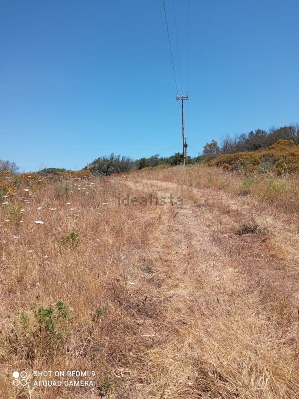 quadrivano in vendita ad Olbia in zona Barcellona