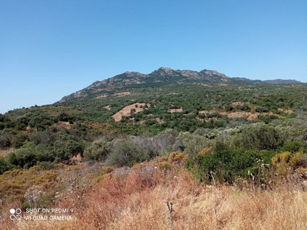 quadrivano in vendita ad Olbia in zona Barcellona