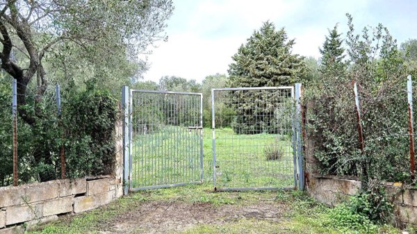 terreno agricolo in vendita ad Olbia in zona Barcellona
