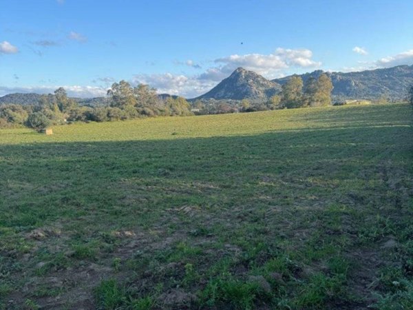 terreno agricolo in vendita ad Olbia in zona Barcellona