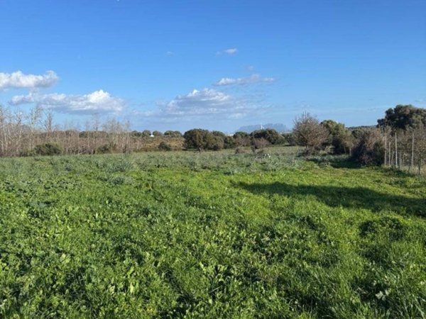 terreno agricolo in vendita ad Olbia in zona Putzolu
