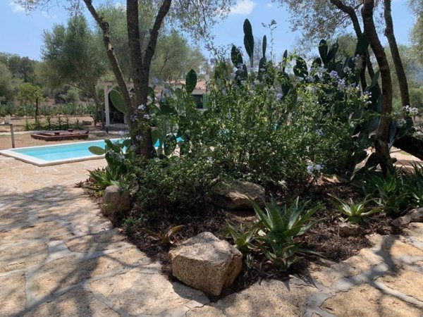 casa indipendente in vendita ad Olbia in zona San Pantaleo