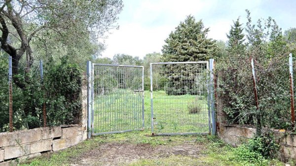 terreno agricolo in vendita ad Olbia in zona Barcellona
