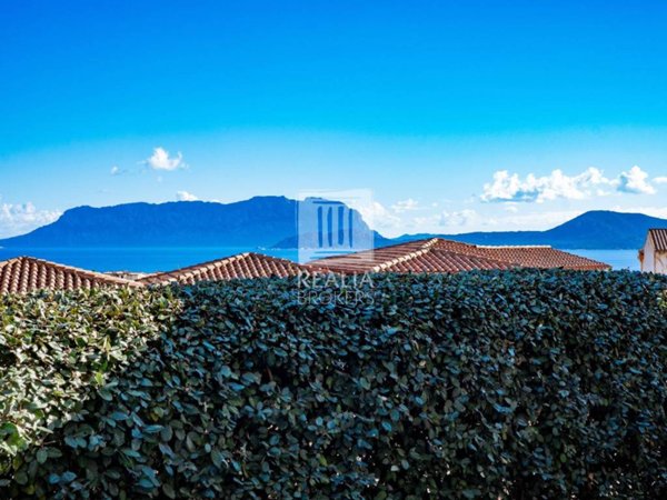 appartamento in vendita ad Olbia in zona Pittulongu