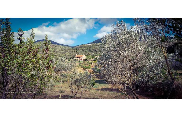 casa indipendente in vendita ad Olbia