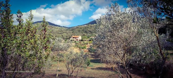 casa indipendente in vendita ad Olbia