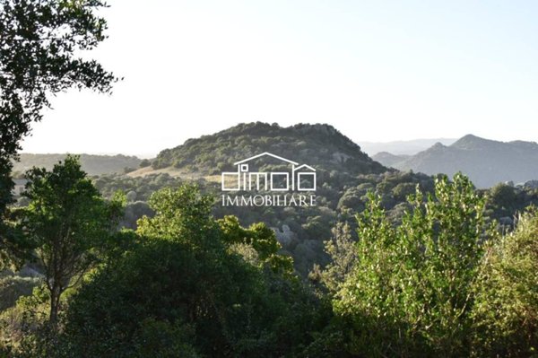 casa indipendente in vendita ad Olbia in zona Putzolu