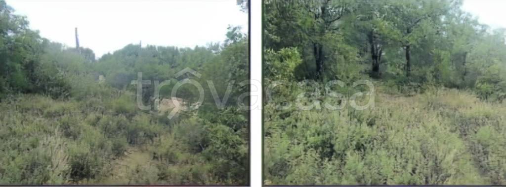 terreno agricolo in vendita ad Olbia in zona San Pantaleo