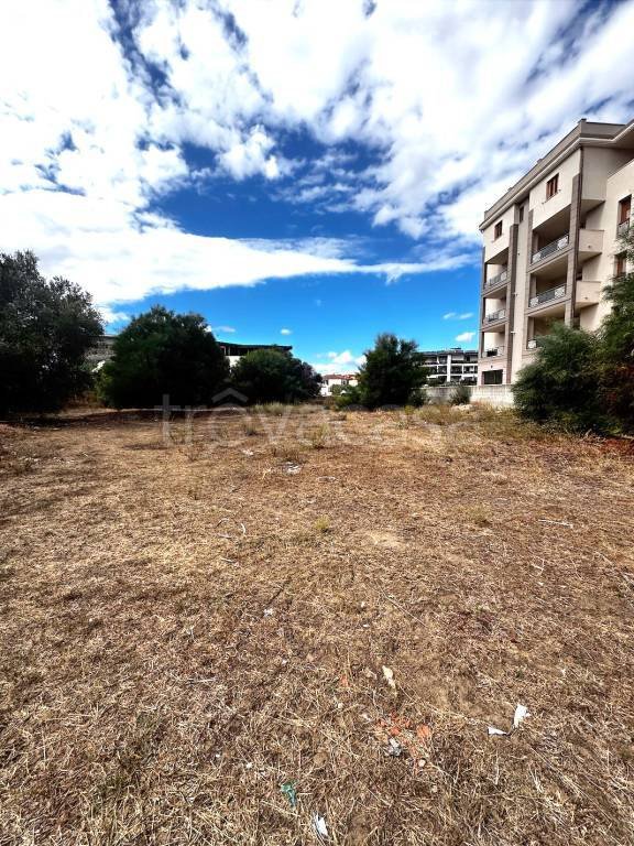 terreno agricolo in vendita ad Olbia