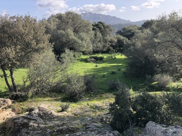 terreno agricolo in vendita ad Olbia in zona Sole Ruiu