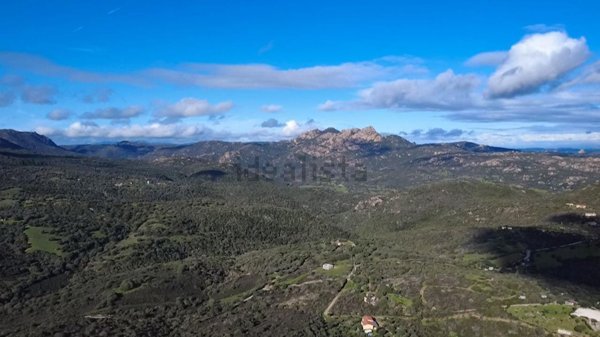 terreno agricolo in vendita ad Olbia in zona Santa Mariedda