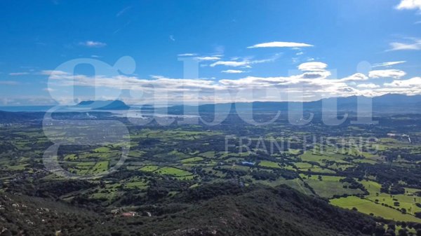 terreno agricolo in vendita ad Olbia in zona San Pantaleo